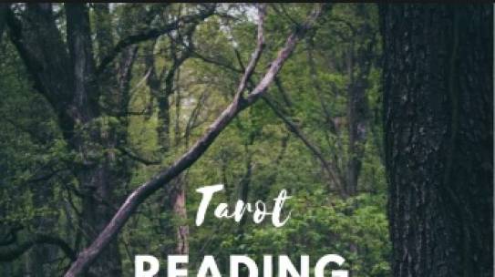Tarot Readings for August 2019